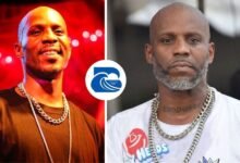 DMX Age 50