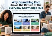 Brumeblog Com